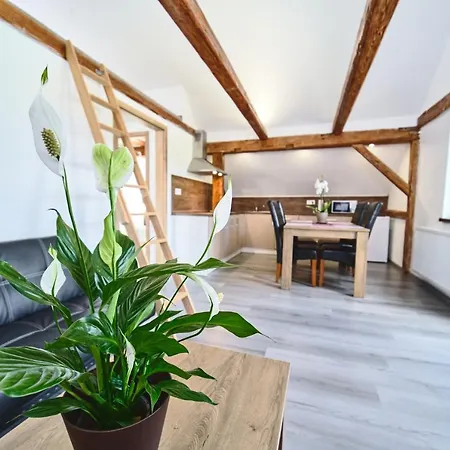 U Trautyho 게스트하우스