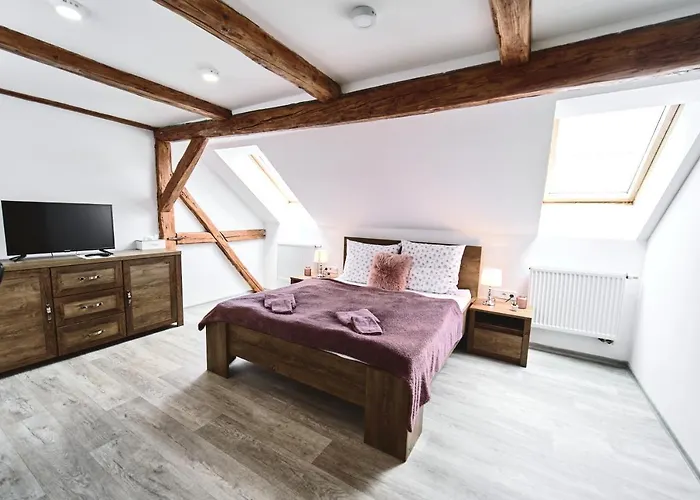 Maison d'hôtes U Trautyho 3*